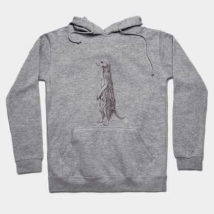 Suricata. Meerkat Hoodie